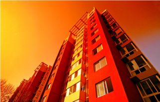 年轻房地产经纪人为何成为流动大军